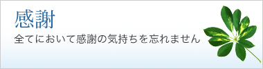 感謝｜全てにおいて感謝の気持ちを忘れません